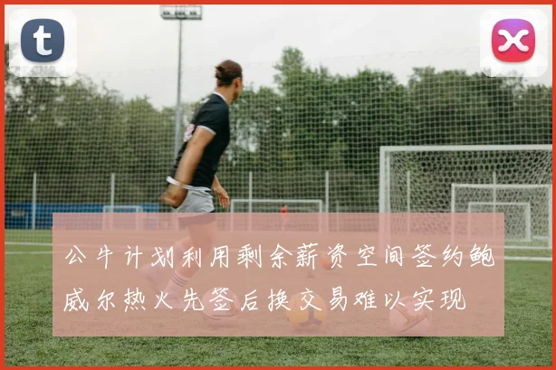 公牛计划利用剩余薪资空间签约鲍威尔热火先签后换交易难以实现